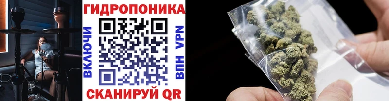 Где купить Иваново Кокаин ГАШИШ
