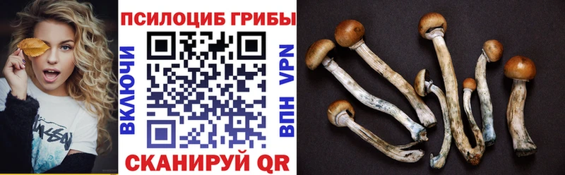 Галлюциногенные грибы GOLDEN TEACHER  купить   Иваново 